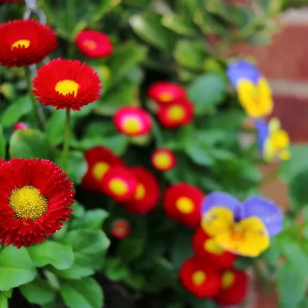 Borgo Dei Castelli Grottaferrata