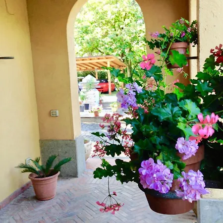 Gasthuis Borgo Dei Castelli Grottaferrata