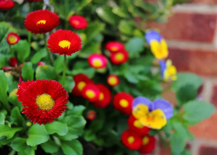 Borgo Dei Castelli Grottaferrata